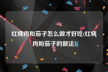 红烧肉和茄子怎么做才好吃(红烧肉和茄子的做法)