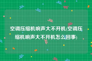 空调压缩机响声大不开机(空调压缩机响声大不开机怎么回事)