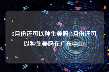 5月份还可以种生姜吗(5月份还可以种生姜吗在广东中山)