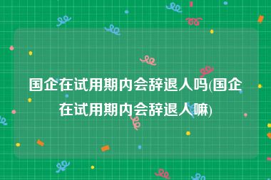 国企在试用期内会辞退人吗(国企在试用期内会辞退人嘛)