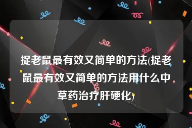 捉老鼠最有效又简单的方法(捉老鼠最有效又简单的方法用什么中草药治疗肝硬化)