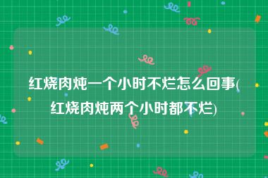 红烧肉炖一个小时不烂怎么回事(红烧肉炖两个小时都不烂)