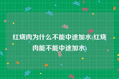 红烧肉为什么不能中途加水(红烧肉能不能中途加水)