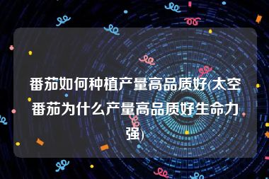 番茄如何种植产量高品质好(太空番茄为什么产量高品质好生命力强)