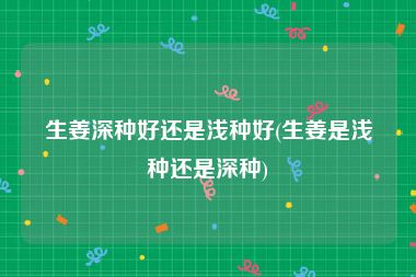 生姜深种好还是浅种好(生姜是浅种还是深种)