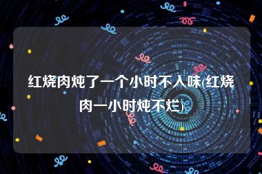 红烧肉炖了一个小时不入味(红烧肉一小时炖不烂)