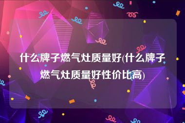 什么牌子燃气灶质量好(什么牌子燃气灶质量好性价比高)