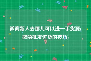 微商新人去哪儿可以进一手货源(微商批发进货的技巧)