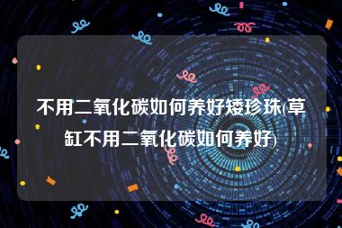 不用二氧化碳如何养好矮珍珠(草缸不用二氧化碳如何养好)