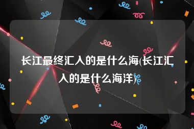 长江最终汇入的是什么海(长江汇入的是什么海洋)