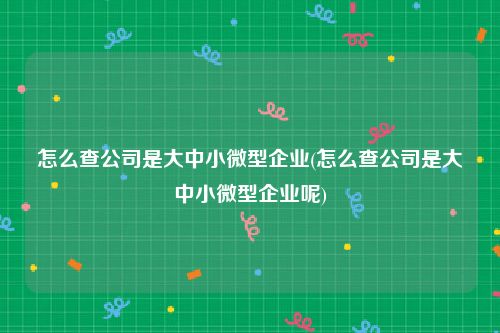 怎么查公司是大中小微型企业(怎么查公司是大中小微型企业呢)