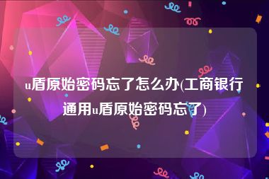 u盾原始密码忘了怎么办(工商银行通用u盾原始密码忘了)