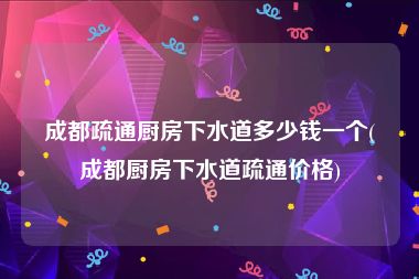 成都疏通厨房下水道多少钱一个(成都厨房下水道疏通价格)