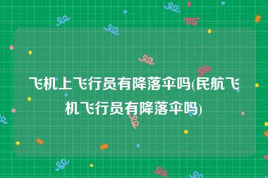 飞机上飞行员有降落伞吗(民航飞机飞行员有降落伞吗)