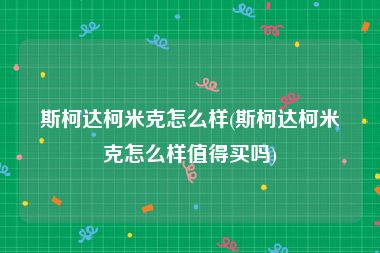 斯柯达柯米克怎么样(斯柯达柯米克怎么样值得买吗)