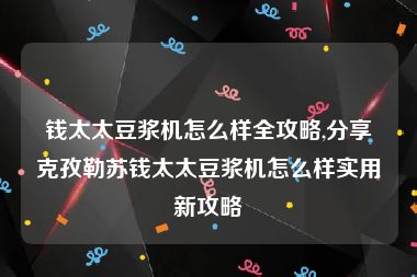 钱太太豆浆机怎么样全攻略,分享克孜勒苏钱太太豆浆机怎么样实用新攻略