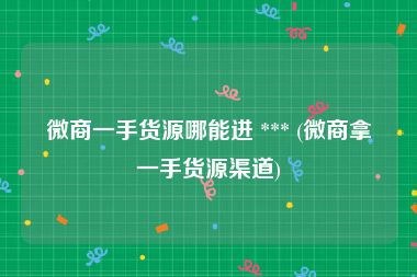微商一手货源哪能进 *** (微商拿一手货源渠道)