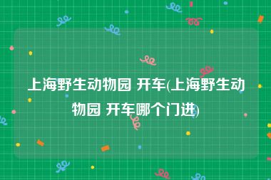 上海野生动物园 开车(上海野生动物园 开车哪个门进)