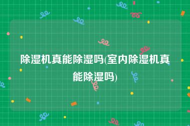 除湿机真能除湿吗(室内除湿机真能除湿吗)
