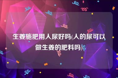 生姜施肥用人尿好吗(人的尿可以做生姜的肥料吗)