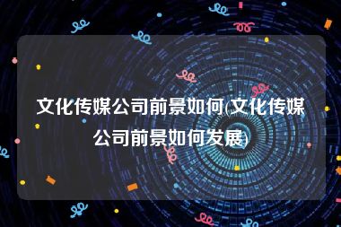 文化传媒公司前景如何(文化传媒公司前景如何发展)