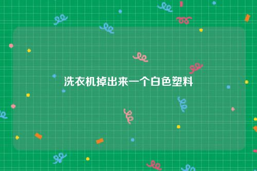 洗衣机掉出来一个白色塑料