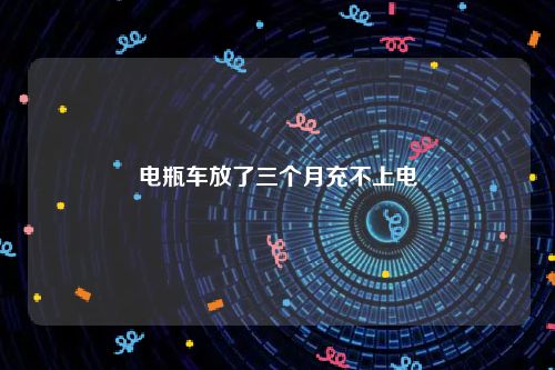 电瓶车放了三个月充不上电