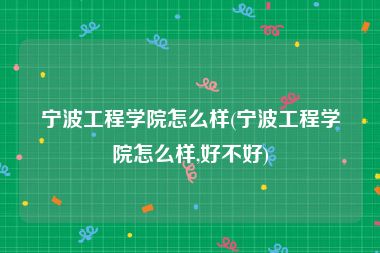 宁波工程学院怎么样(宁波工程学院怎么样,好不好)