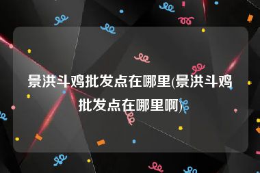 景洪斗鸡批发点在哪里(景洪斗鸡批发点在哪里啊)