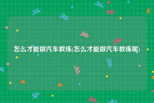 怎么才能做汽车教练(怎么才能做汽车教练呢)