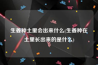 生姜种土里会出来什么(生姜种在土里长出来的是什么)