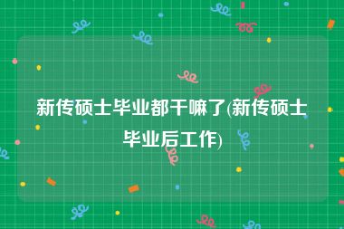 新传硕士毕业都干嘛了(新传硕士毕业后工作)