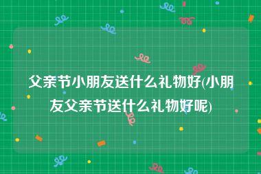 父亲节小朋友送什么礼物好(小朋友父亲节送什么礼物好呢)