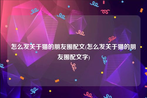 怎么发关于猫的朋友圈配文(怎么发关于猫的朋友圈配文字)