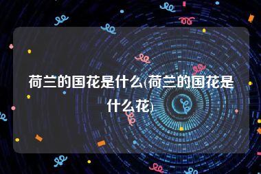 荷兰的国花是什么(荷兰的国花是什么花)