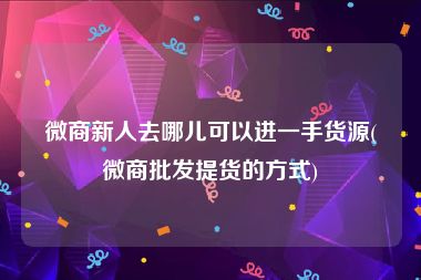 微商新人去哪儿可以进一手货源(微商批发提货的方式)