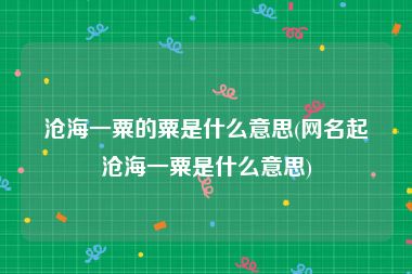 沧海一粟的粟是什么意思(网名起沧海一粟是什么意思)