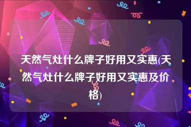 天然气灶什么牌子好用又实惠(天然气灶什么牌子好用又实惠及价格)