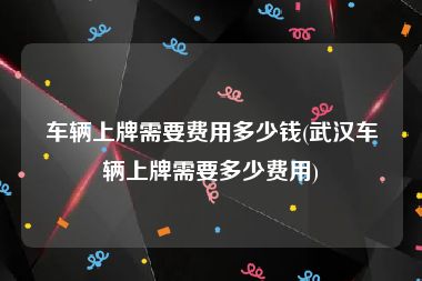 车辆上牌需要费用多少钱(武汉车辆上牌需要多少费用)