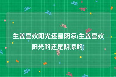 生姜喜欢阳光还是阴凉(生姜喜欢阳光的还是阴凉的)