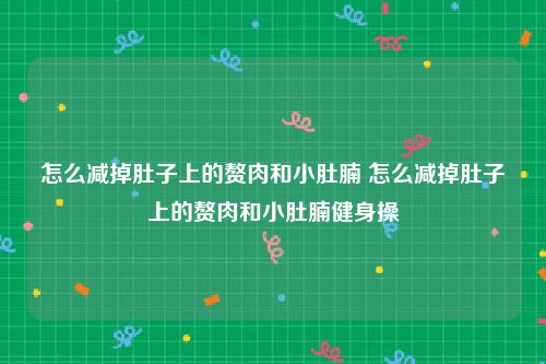 怎么减掉肚子上的赘肉和小肚腩 怎么减掉肚子上的赘肉和小肚腩健身操