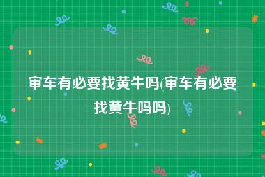 审车有必要找黄牛吗(审车有必要找黄牛吗吗)