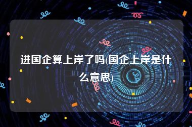 进国企算上岸了吗(国企上岸是什么意思)
