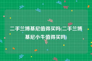 二手兰博基尼值得买吗(二手兰博基尼小牛值得买吗)