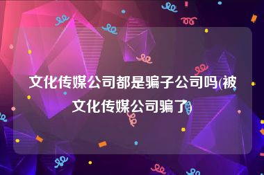 文化传媒公司都是骗子公司吗(被文化传媒公司骗了)
