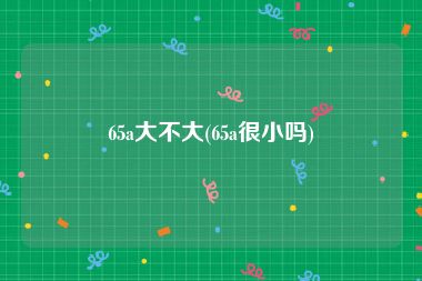 65a大不大(65a很小吗)