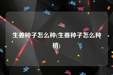 生姜种子怎么种(生姜种子怎么种植)