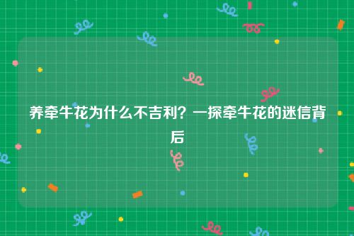养牵牛花为什么不吉利？一探牵牛花的迷信背后