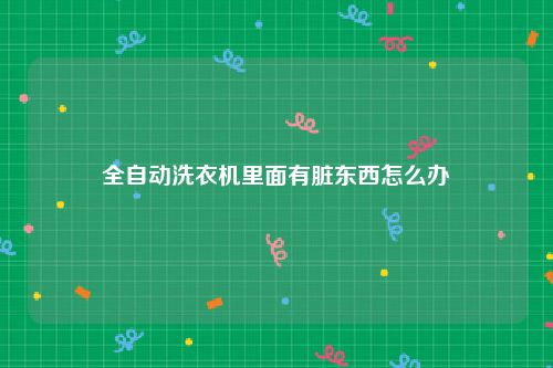 全自动洗衣机里面有脏东西怎么办