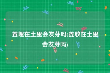 姜埋在土里会发芽吗(姜放在土里会发芽吗)